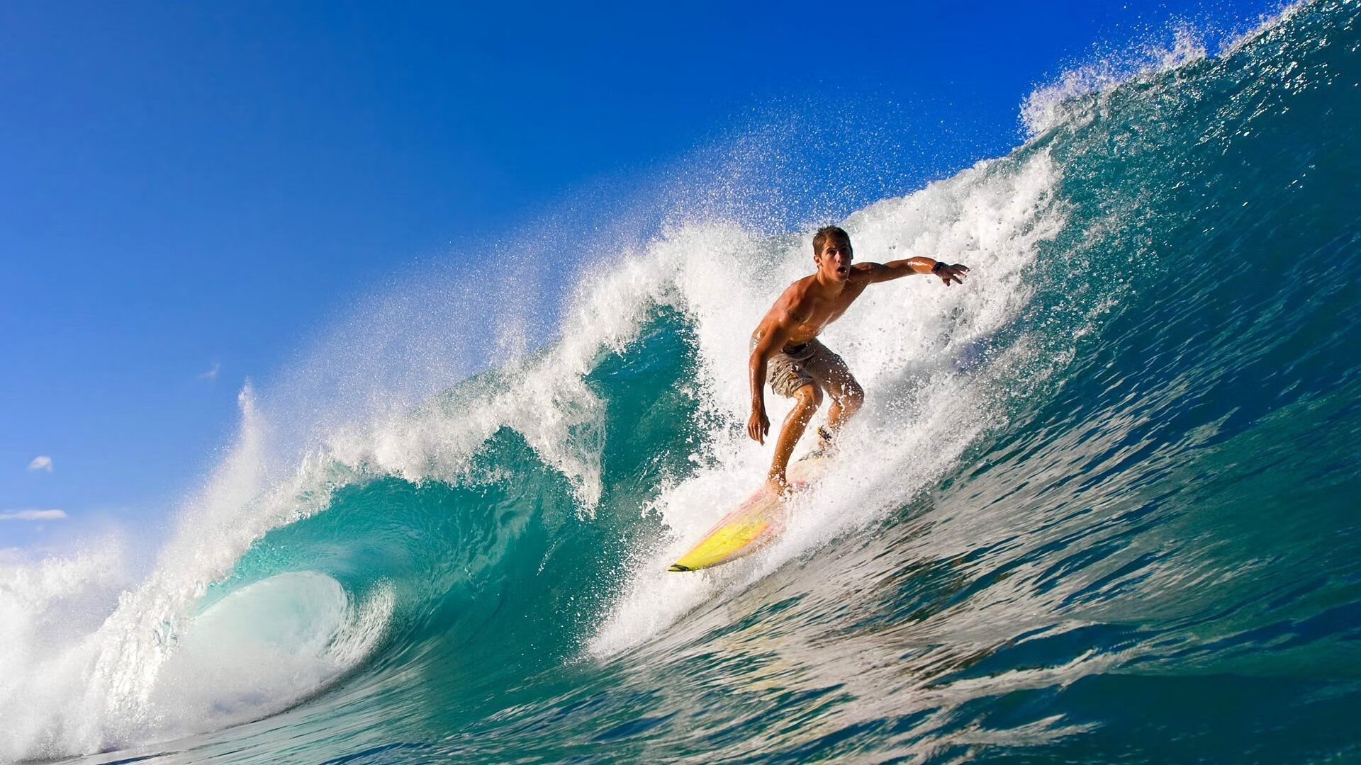 体育公益项目获政府专项资金支持，体育扶持资金